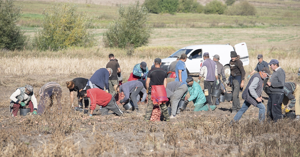 „Ez a mi brandünk, és nincs mire lecserélni”